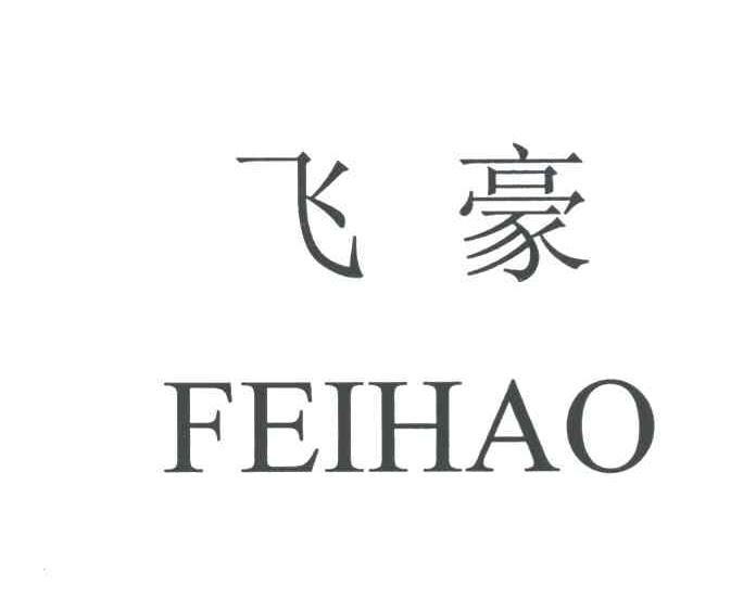 飞豪
