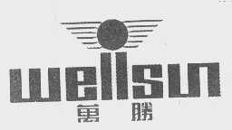 万胜   WELLSUN