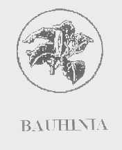 BAUHINIA