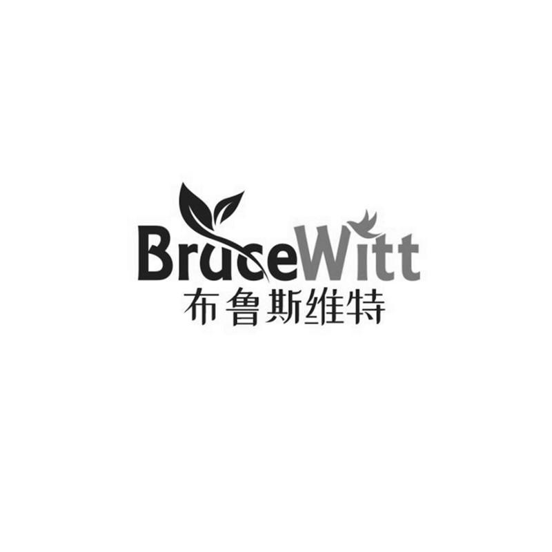 布鲁斯维特 BRUCEWITT