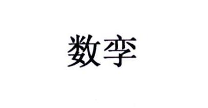 数孪