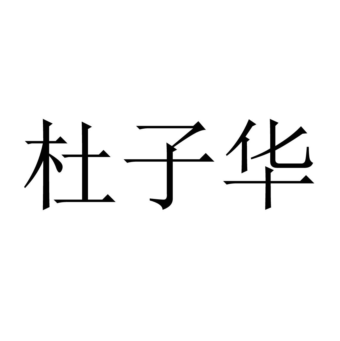 杜子华