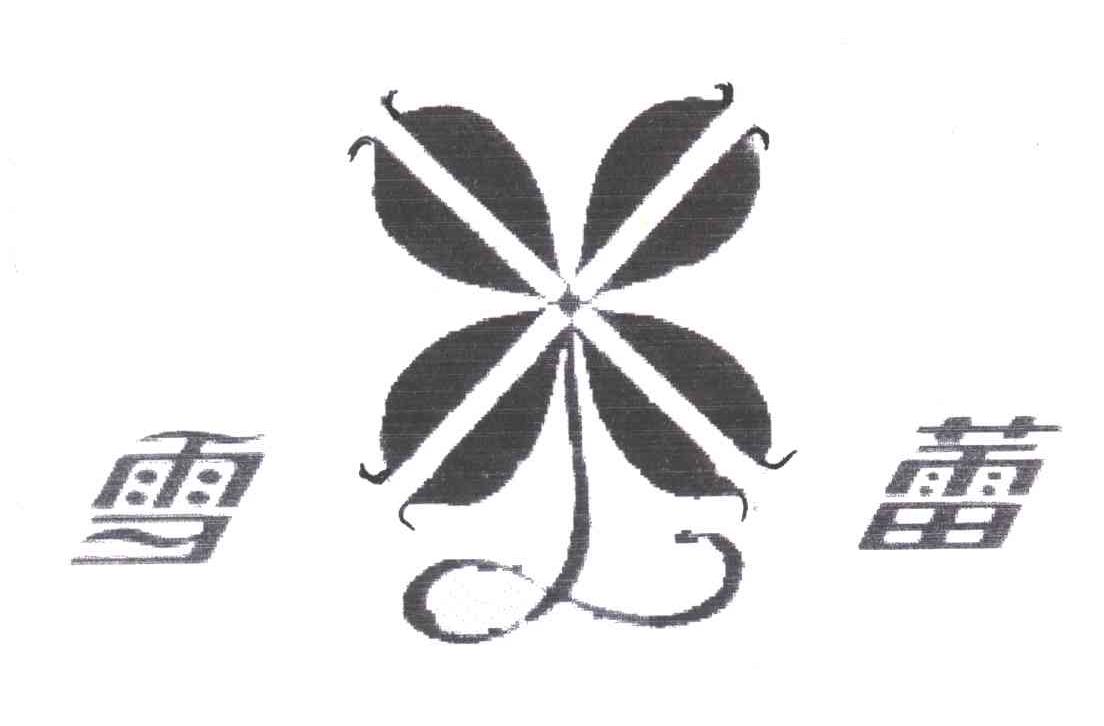 雪蕾