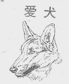 爱犬