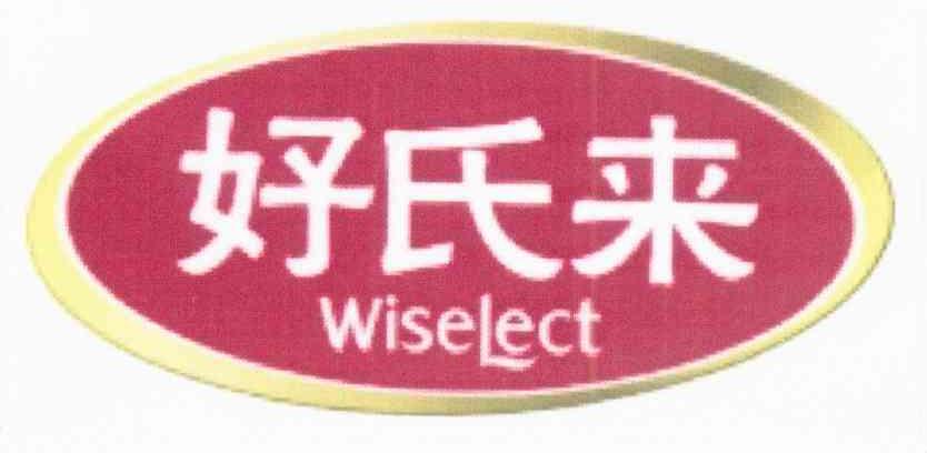 好氏来 WISELECT