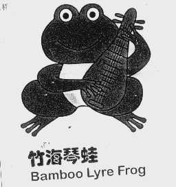 竹海琴蛙   BAMBOO LYRE FROG