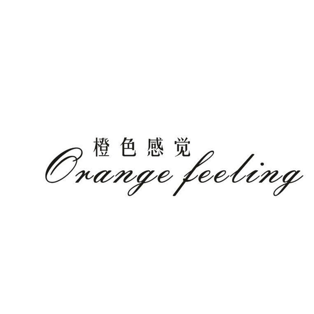 橙色感觉 ORANGE FEELING