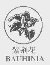 紫荆花   BAUHINIA