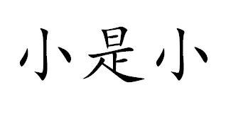 小是小