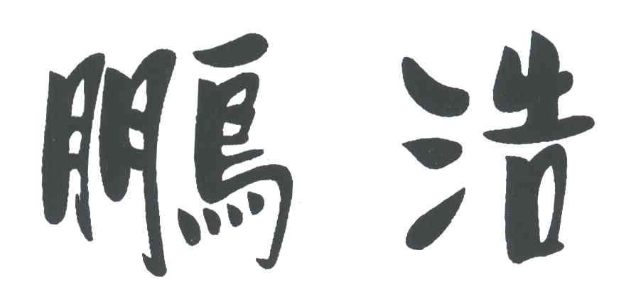鹏浩