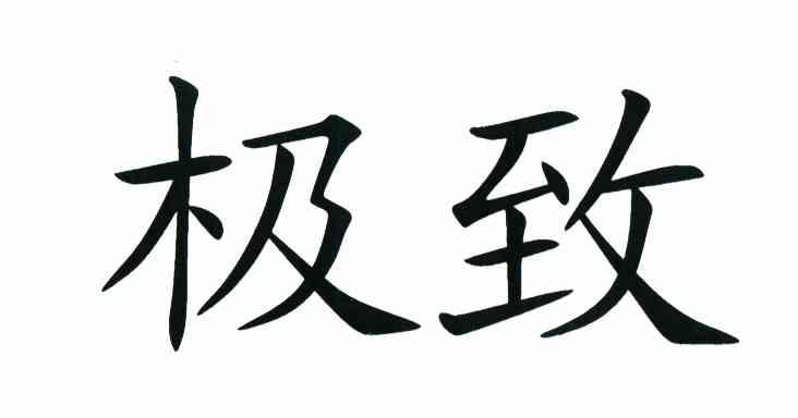 极致