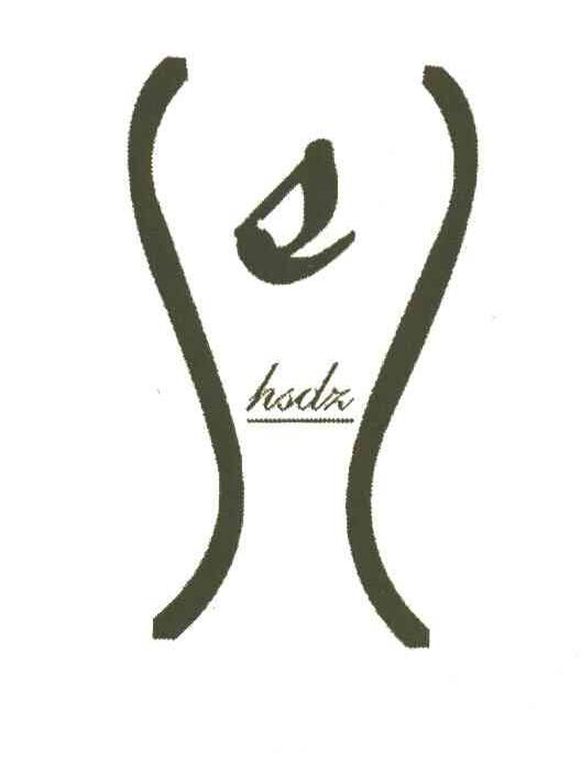 HSDZ