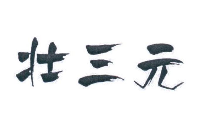 壮三元