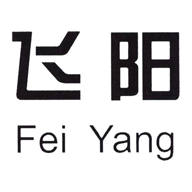 飞阳