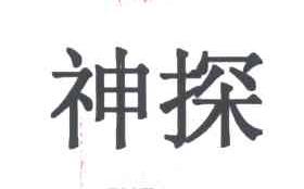 神探