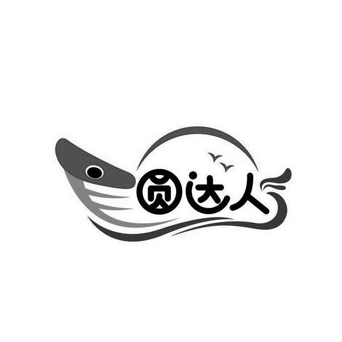 圆达人