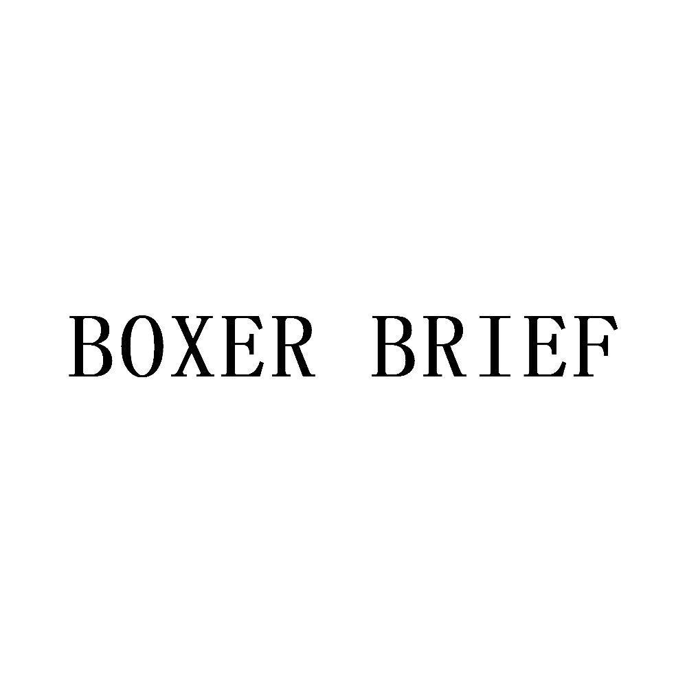 BOXER BRIEF
