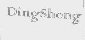 DINGSHENG