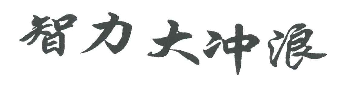 智力大冲浪