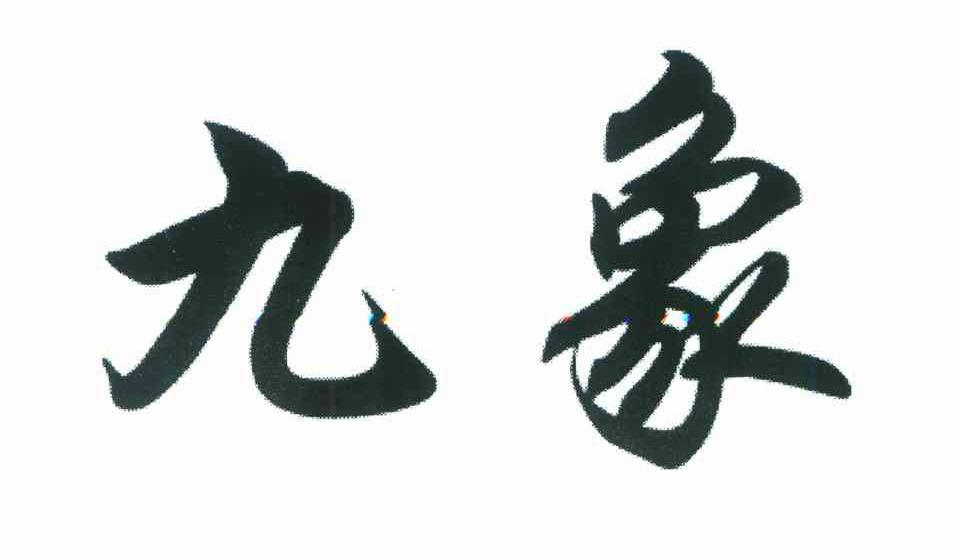 九象