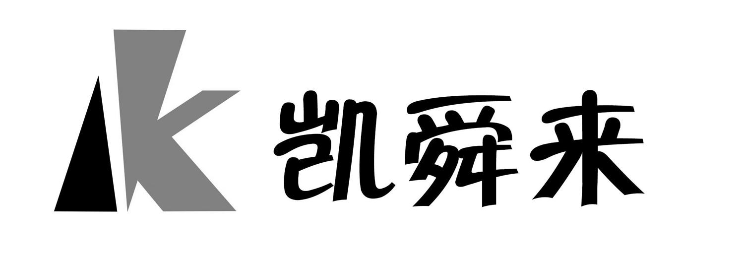 凯舜来