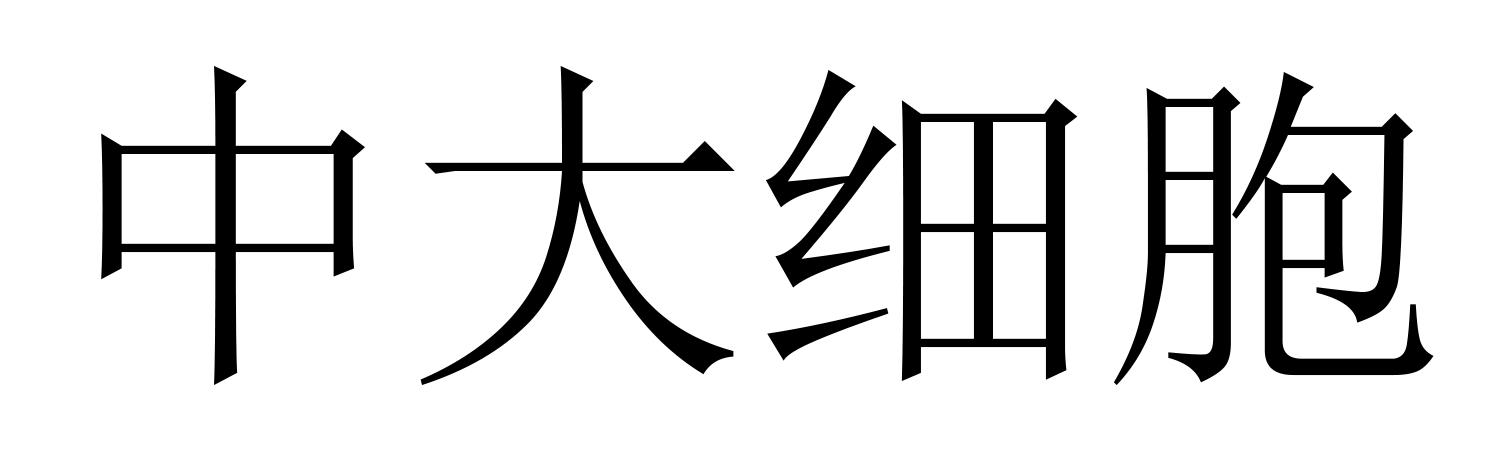 中大细胞