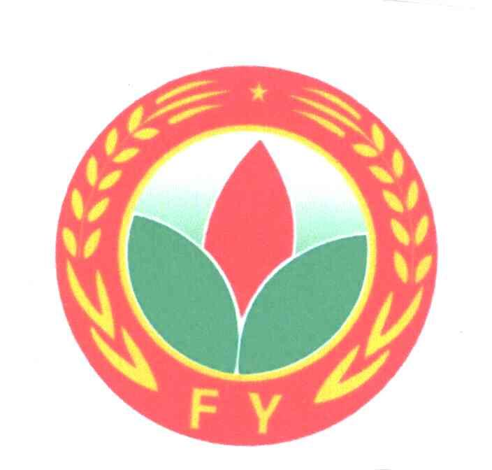 FY