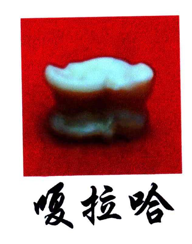 嘎拉哈