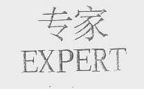 专家   EXPERT