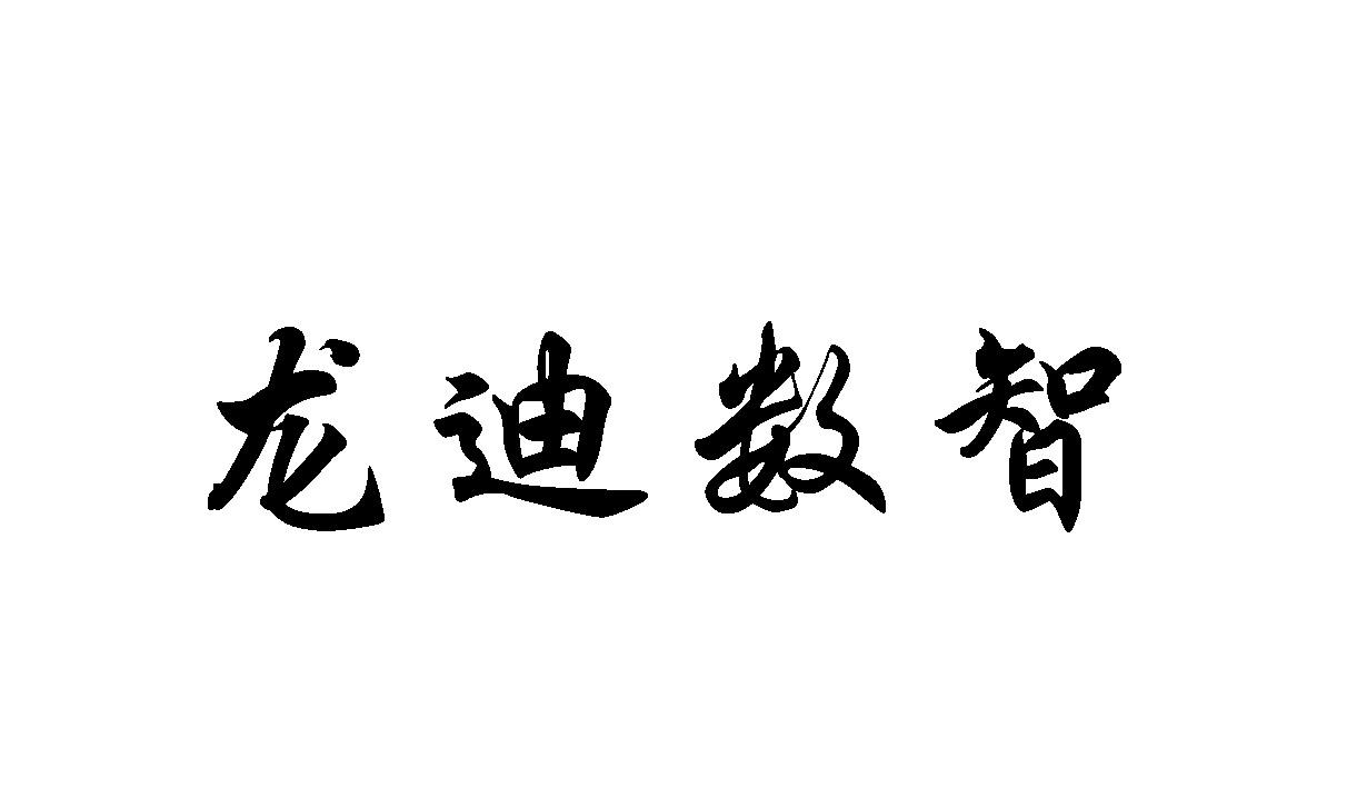 龙迪数智