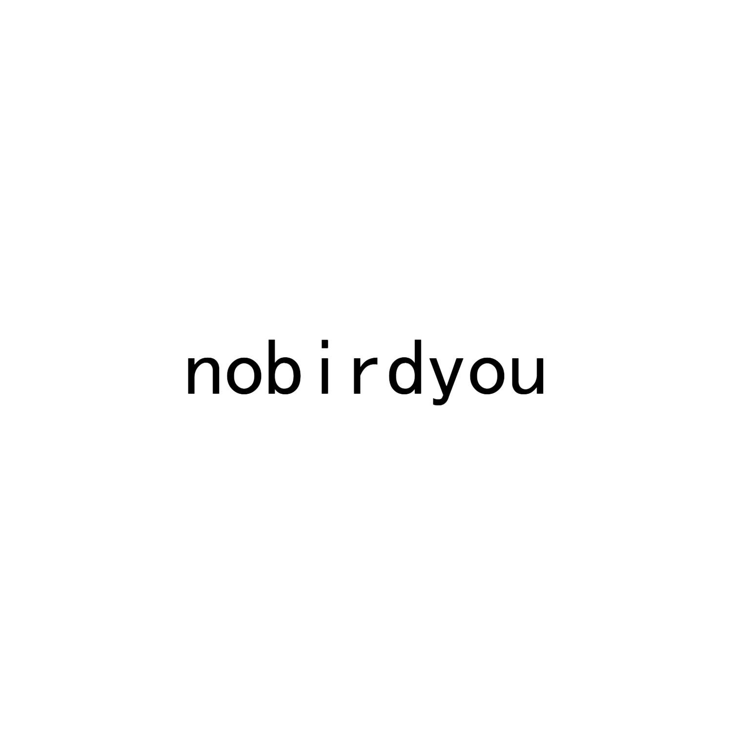 NOBIRDYOU