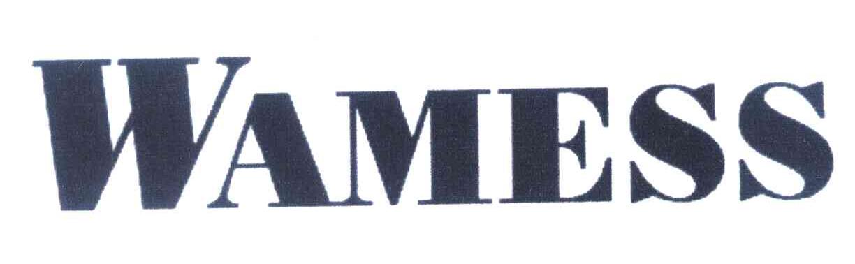 WAMESS