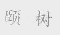 颐树
