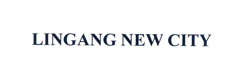 LINGANG NEW CITY