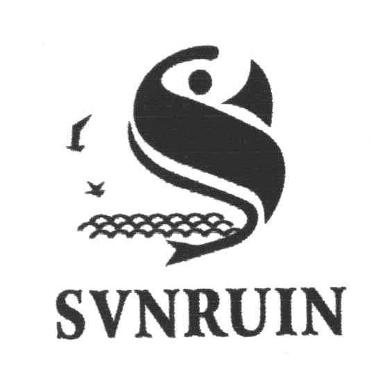 SVNRUIN