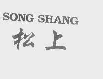 松上