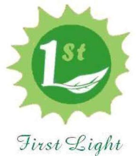 1 ST FIEST LIGHT