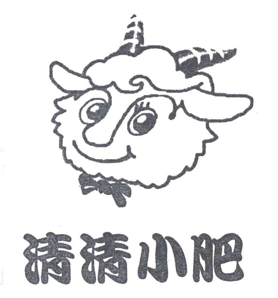 清清小肥