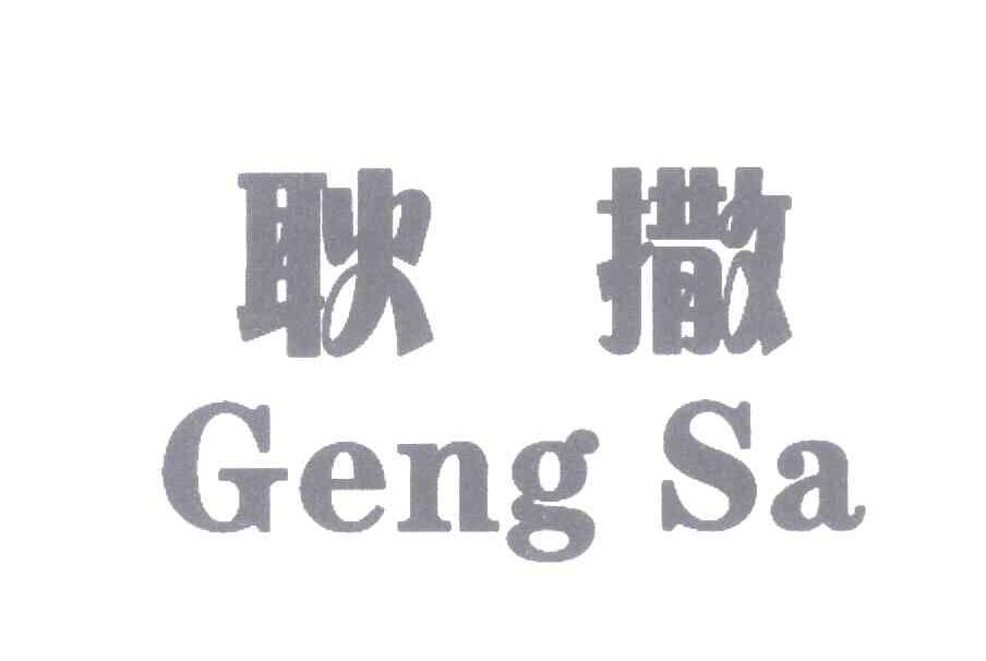 耿撒