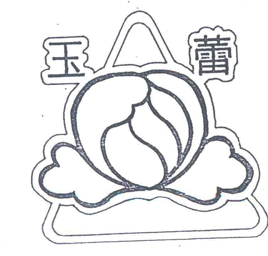 玉蕾