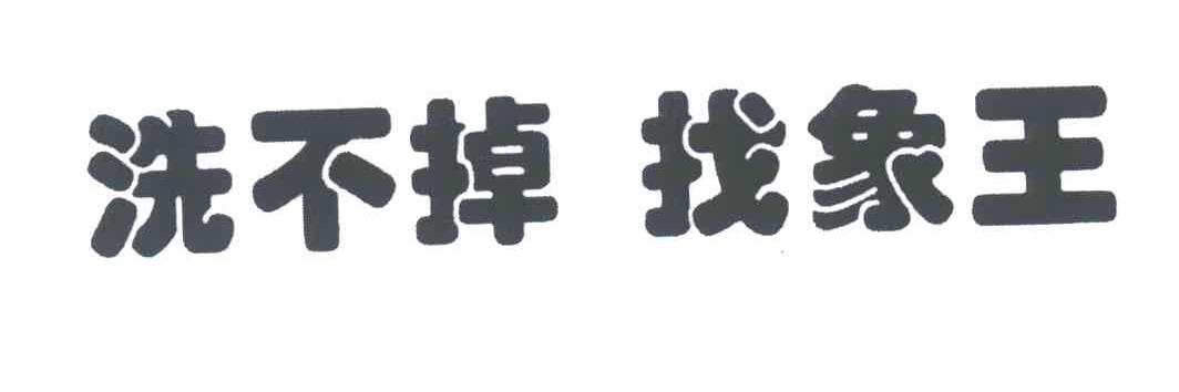 洗不掉 找象王