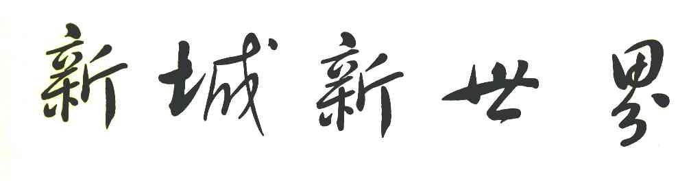 新城新世界
