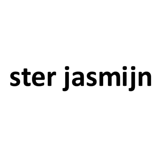 STER JASMIJN