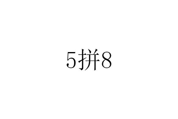 5拼8