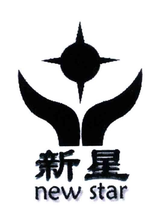新星;NEW STAR