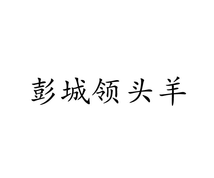 彭城领头羊
