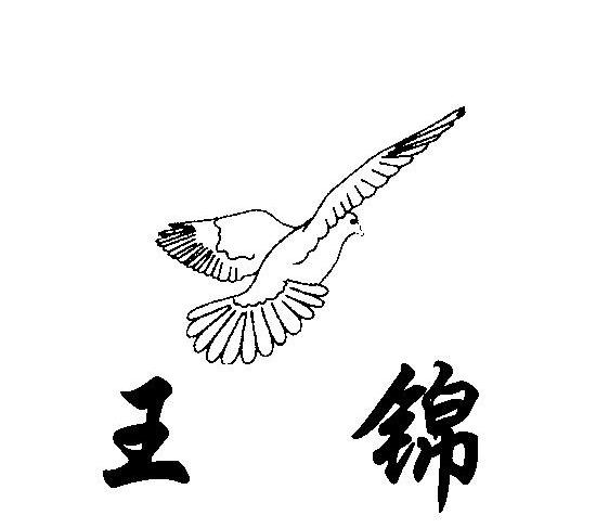 王锦