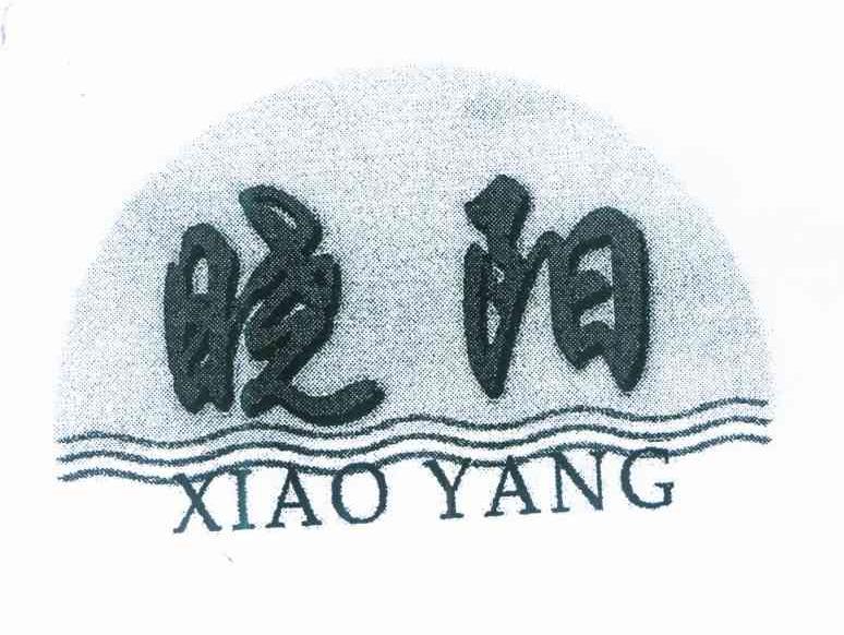 晓阳
