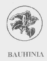 BAUHINIA