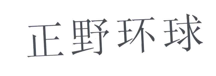 正野环球